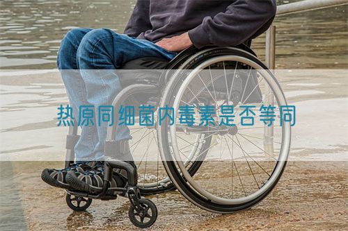 熱原同細(xì)菌內(nèi)毒素是否等同(圖1)