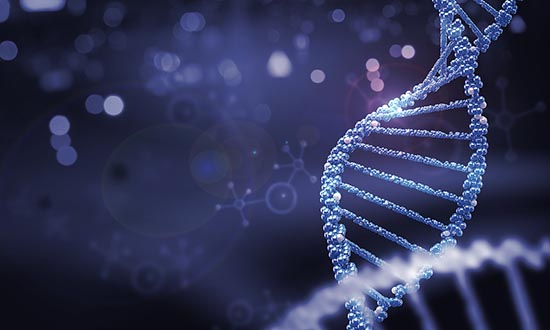 什么是Ⅰ期臨床研究？一文搞懂Ⅰ期臨床試驗(yàn)全過(guò)程(圖3)