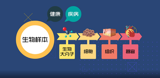 淺談CRC生物樣本管理！生物樣本采集、處理、存儲(chǔ)、運(yùn)輸全過程注意事項(xiàng)(圖1)